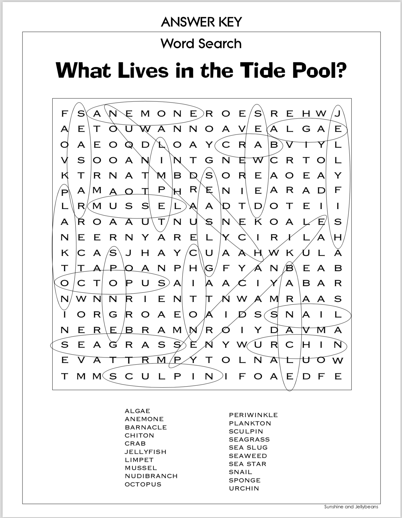 Freebie Word Search What Lives in the Tide Pool? Grades 35