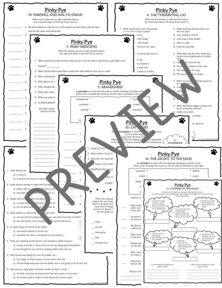 Ginger Pye and Pinky Pye Novel Studies Bundle Made By Teachers