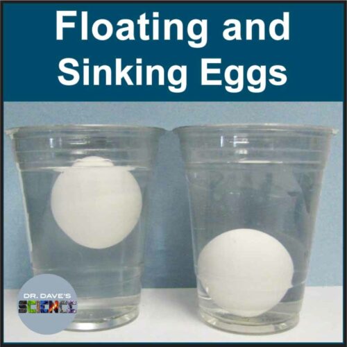 Sink or Float Activity Eggs Made By Teachers
