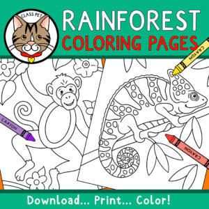 Rainforest Coloring Pages - Made By Teachers