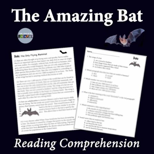 Bats Reading Comprehension Informational Passage Bats Made By Teachers