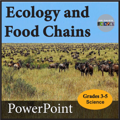 Ecology and Food Chains PowerPoint Made By Teachers