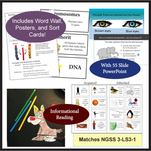 Genetics And Heredity Unit Made By Teachers Genetics And Heredity Unit Made By Teachers