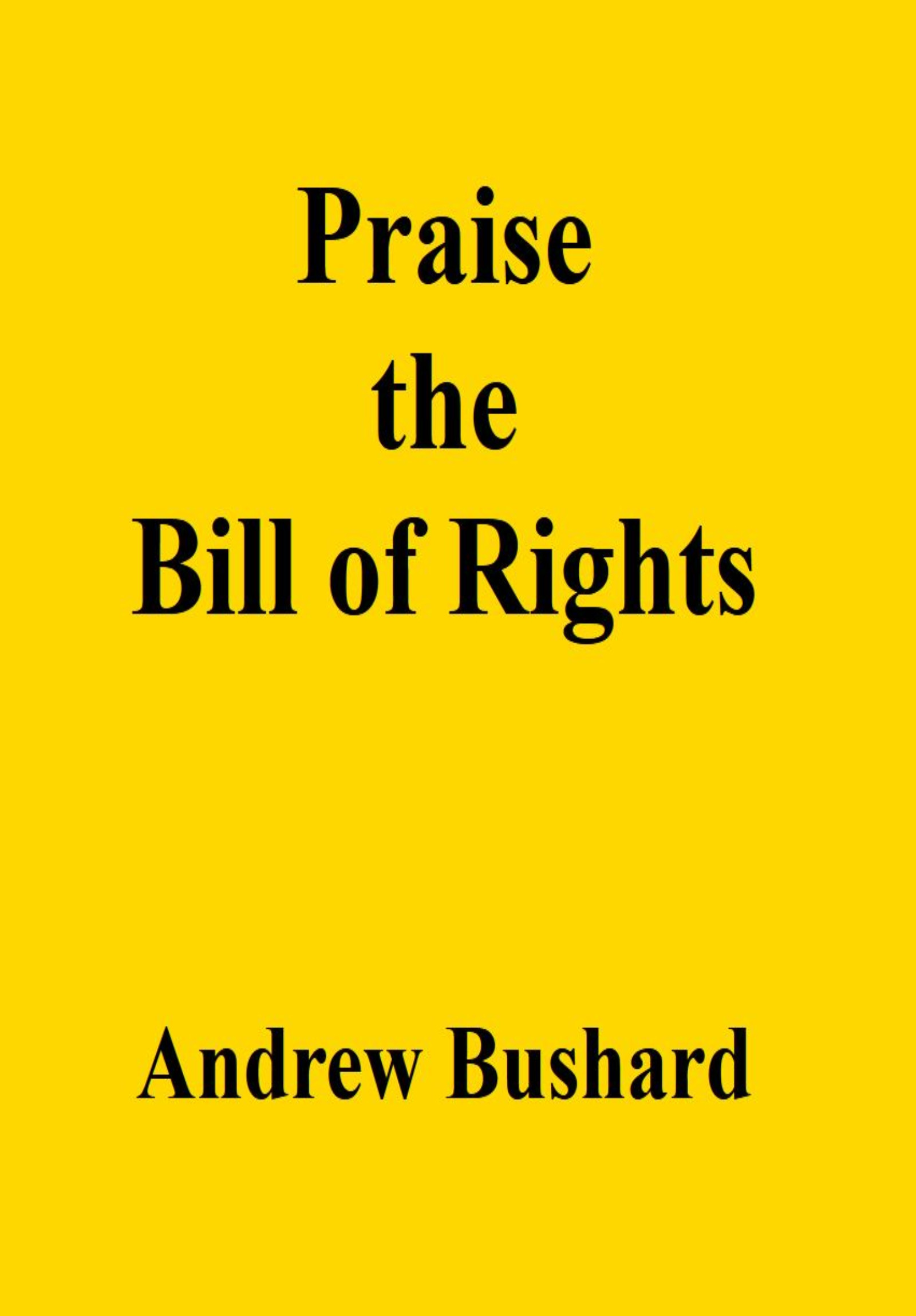Praise The Bill Of Rights Audiobook Made By Teachers