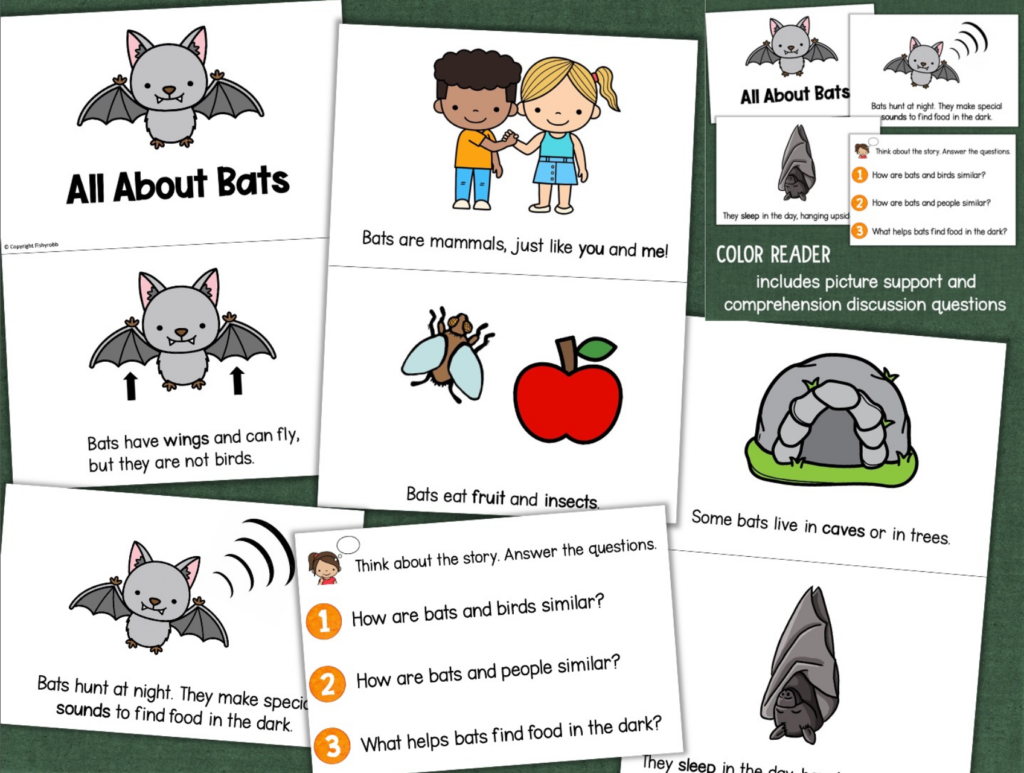 BATS Decodable Readers Comprehension Sight Words Made By Teachers