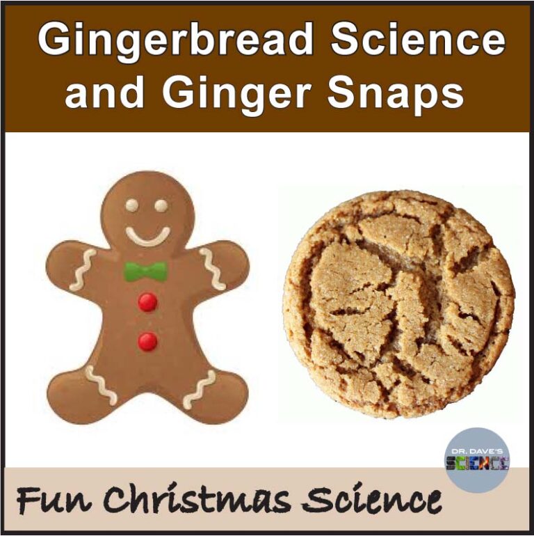 Gingerbread and Gingersnap Christmas Science Activities Science