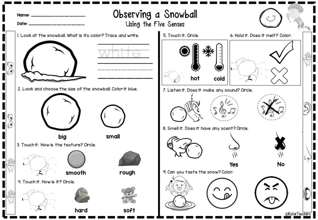 Observing Using the Five Senses Worksheets | Science for Kindergarten ...