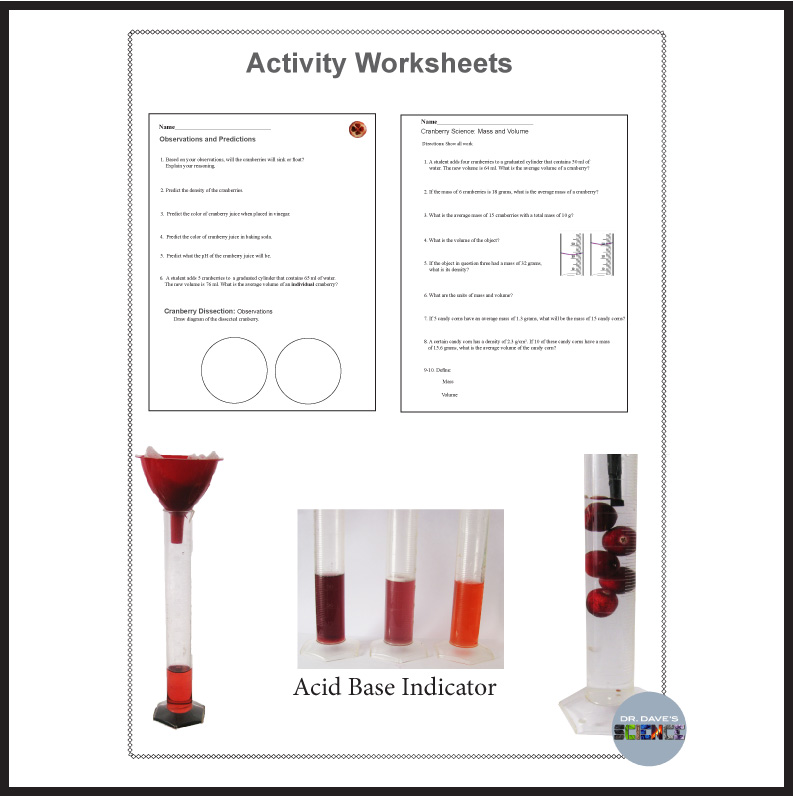Cranberry Science and Thanksgiving Science | Made By Teachers