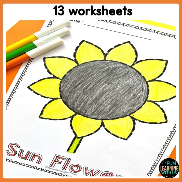 Thanksgiving Picture Tracing & Coloring Fine Motor Activity | November ...