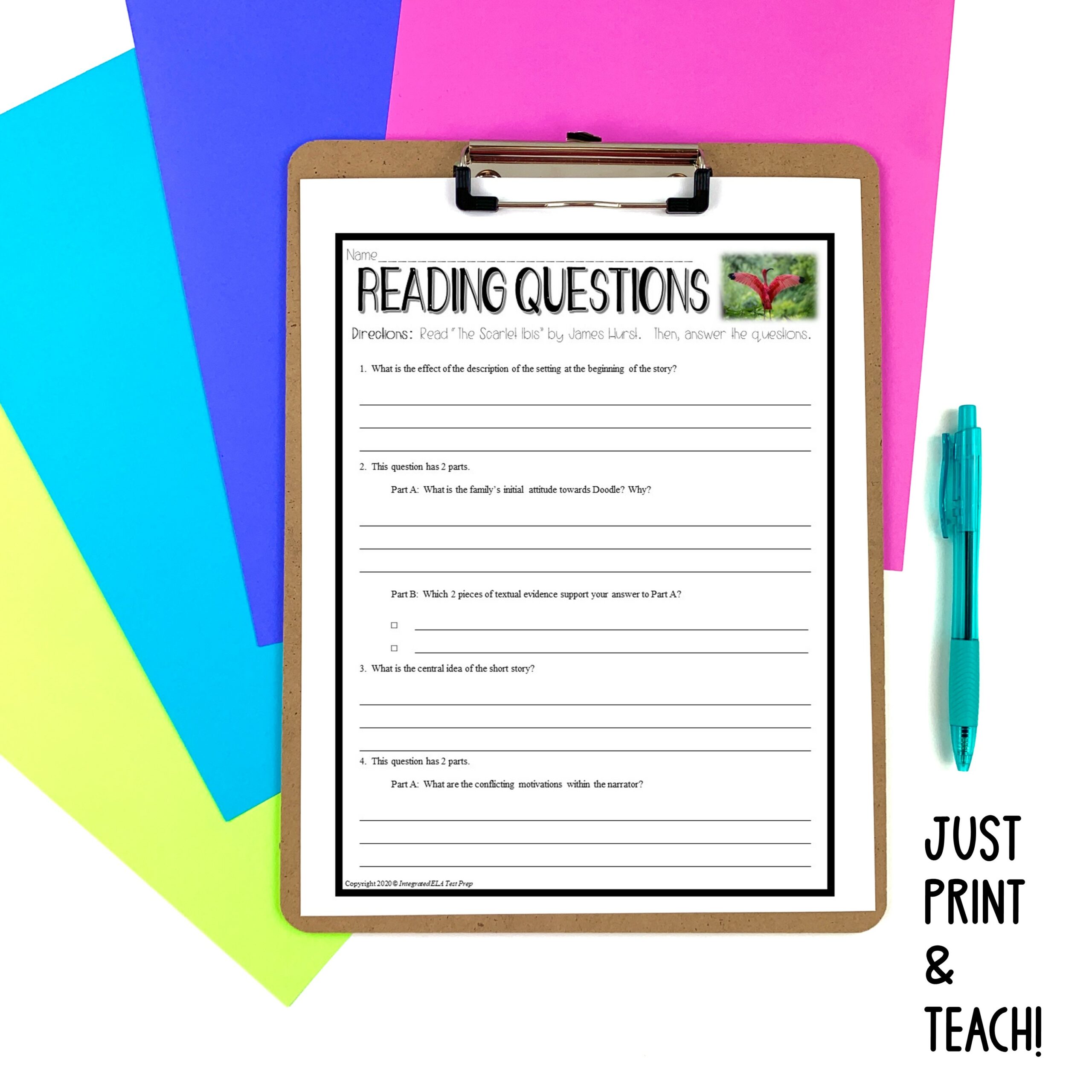 Short Story with Comprehension Questions The Scarlet Ibis Quiz James