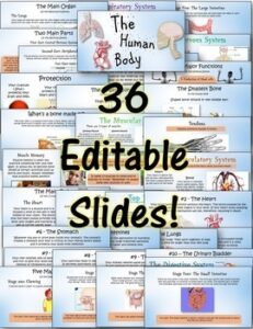 Human Body Systems Pack - Printables / Google Classroom / Distance ...