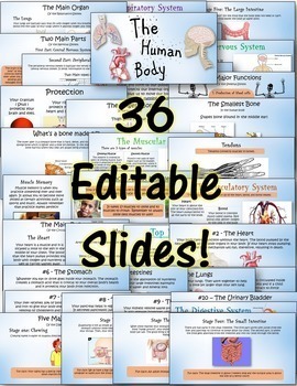 Human Body Systems Pack - Printables / Google Classroom / Distance ...