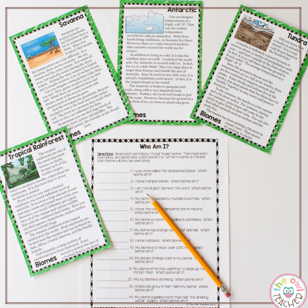 Ecosystems Scavenger Hunt Printable & Digital Made By Teachers