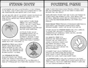 Plant Adaptations Superheroes Project - Made By Teachers