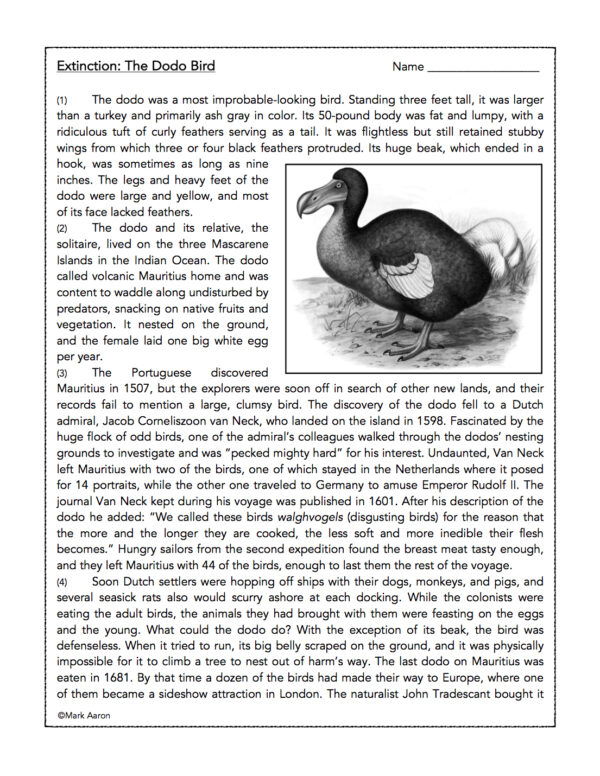 The Dodo Bird's Extinction Reading Comprehension Passage (Grades 58