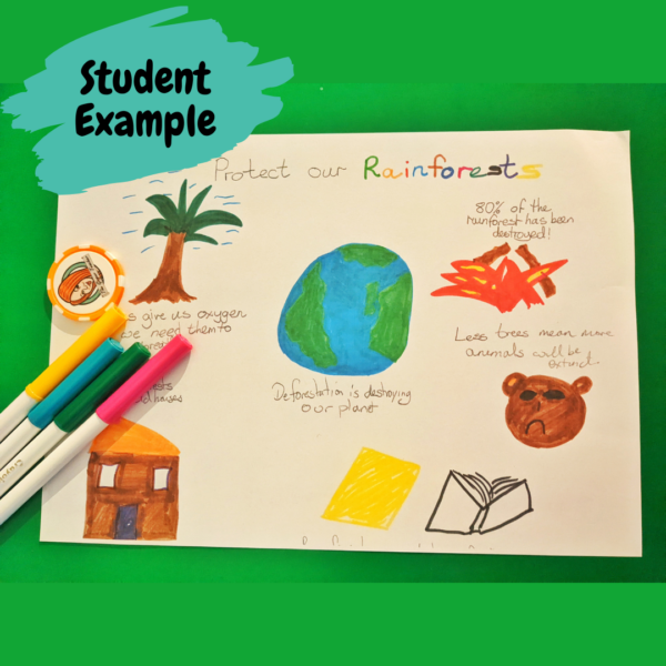 Rainforest Deforestation Lesson Plans and Resources - Made By Teachers