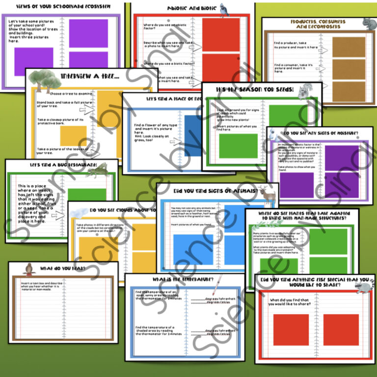 Schoolyard ECOSYSTEM SCAVENGER HUNT Abiotic Biotic Made By Teachers