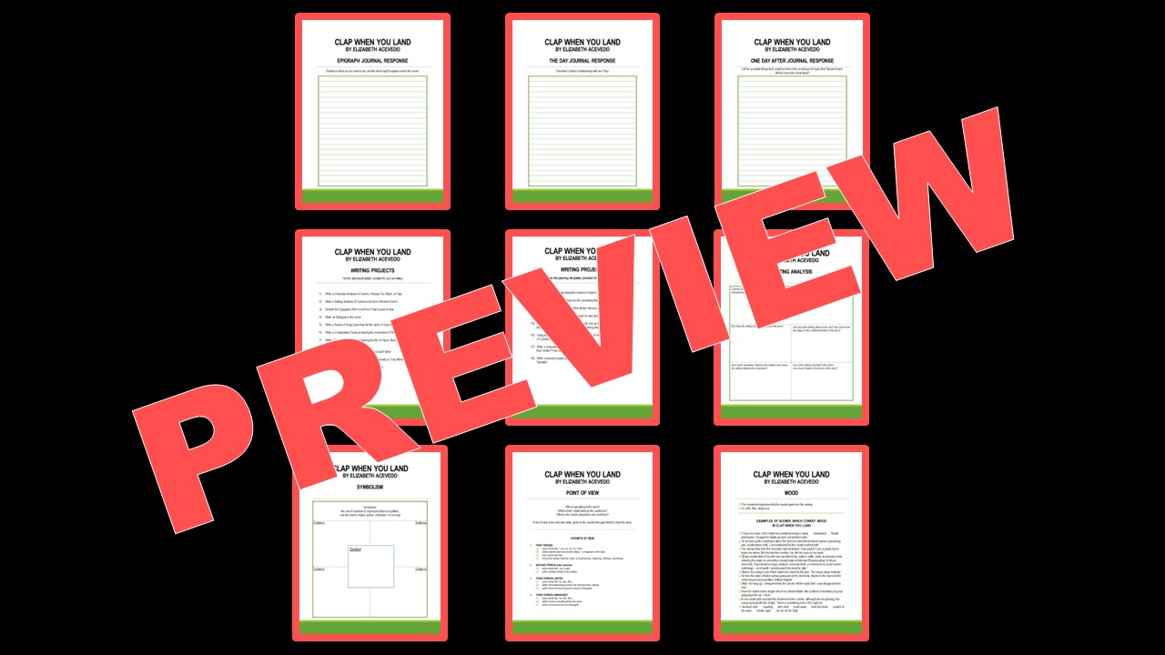 CLAP WHEN YOU LAND Novel Study Made By Teachers