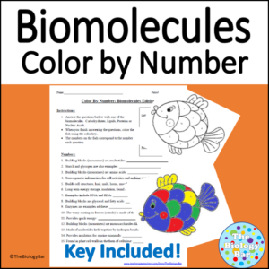 Biomolecules Color By Number