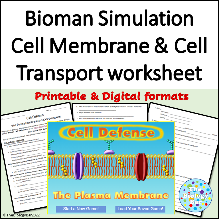 Bioman Simulation Cell Transport Cell Membrane Made By Teachers
