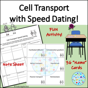 Cell Transport Speed Dating