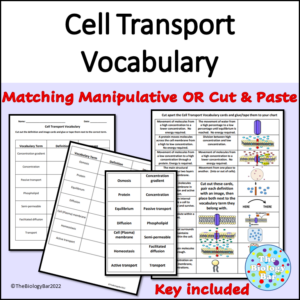 Cell Transport Vocabulary Cards