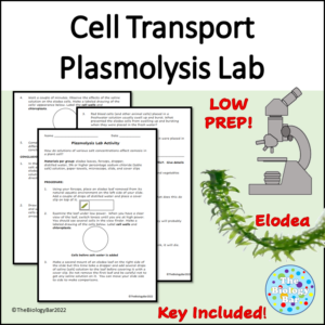 Cell Transport Plasmolysis Lab