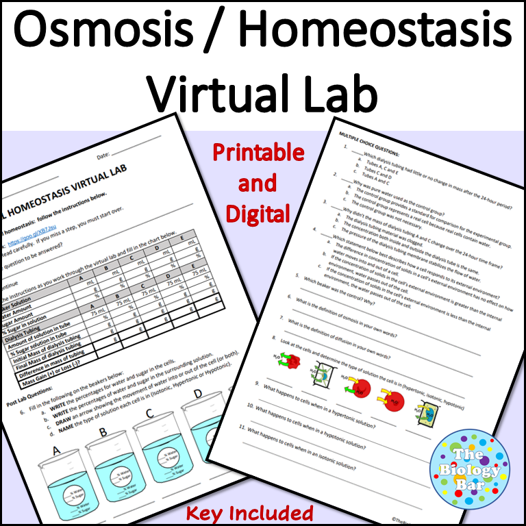 Osmosis Homeostasis Virtual Lab Made By Teachers