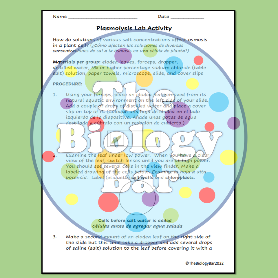 ESL Biology Cell Plasmolysis Lab Made By Teachers