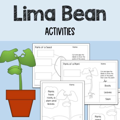 Lima Bean Plant Activities Coloring and Cut and Glue Labeling Made