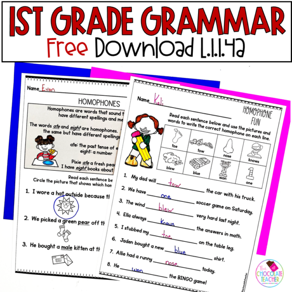 Homophones - Grammar and Vocabulary - First Grade - FREE | Made By Teachers
