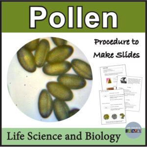 Microscope Activity Worksheet Viewing Plant Pollen