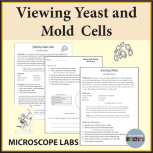 Microscope Lab Activity Worksheet Viewing Fungi Yeast and Mold Cells