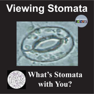 Viewing Stomata and Guard Cells Microscope Slide Lab Activity Worksheet