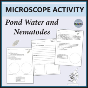Microscope Slide Lab Activity Worksheet Viewing Pond Water and Nematodes