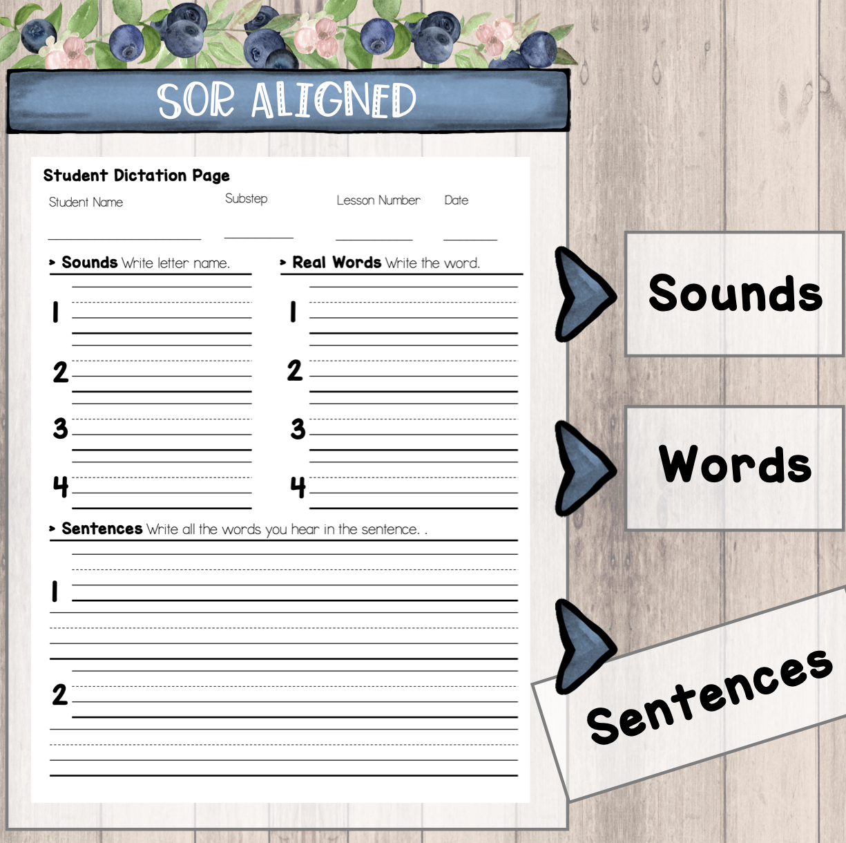 Dictation Sheets for Science of Reading Made By Teachers