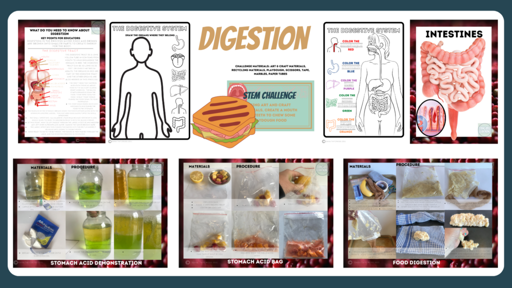 Small Science 10 Unit Hands On & DIGITAL TASK CARD bundle | Made By ...