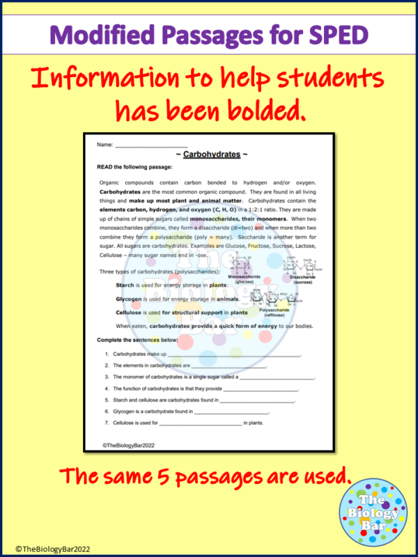Biomolecule Reading Passages Differentiated and Digital Made By Teachers