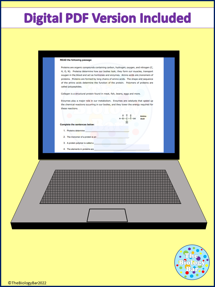 Biomolecule Reading Passages Differentiated and Digital Made By Teachers
