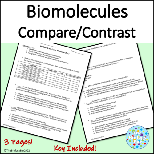 Biomolecules Compare and Contrast Worksheet with Digital Format Made By Teachers