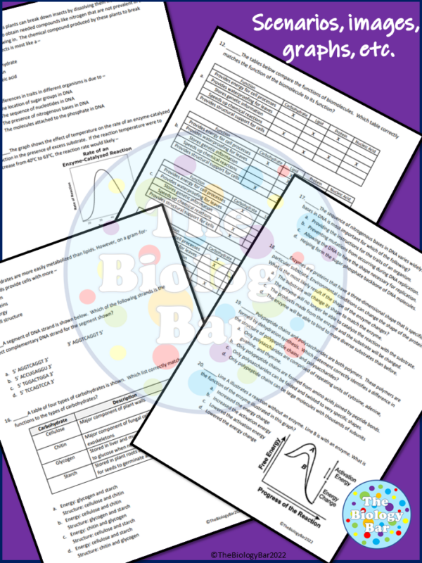 Biomolecules with Enzymes & DNA Review and Test | Made By Teachers