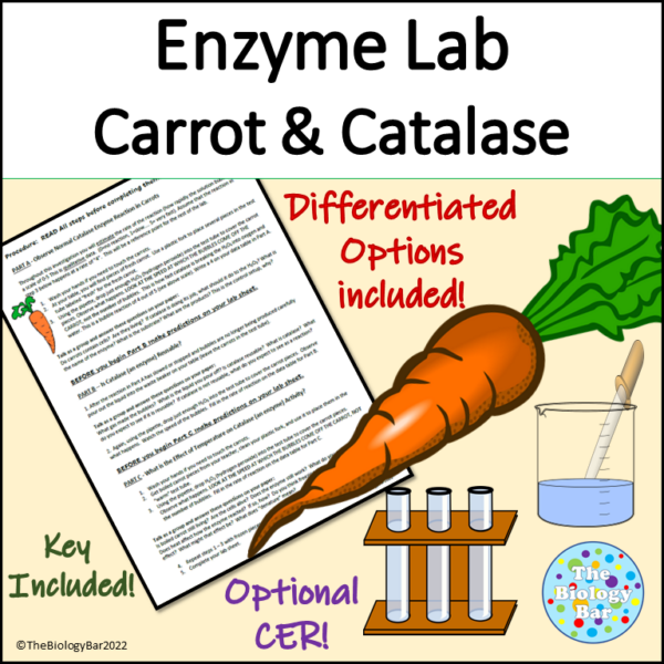 Enzyme Lab Carrot and Catalase Differentiated and CER option Made By