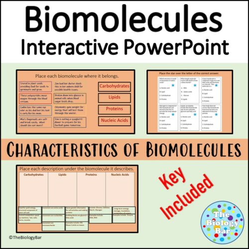 Biomolecules Interactive PPT Made By Teachers