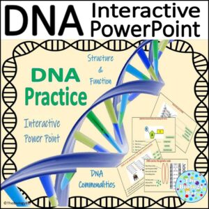 DNA Structure Interactive Power Point