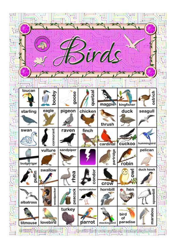 Birds Bingo 7x7 (5 pages + call sheet) | Made By Teachers