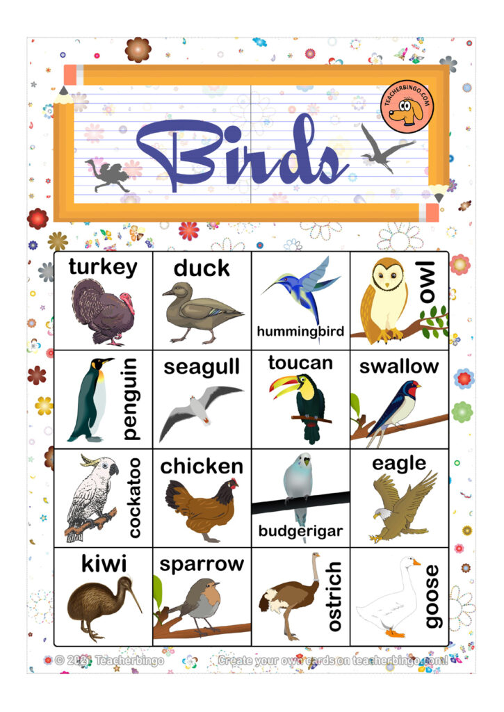 Birds Bingo 4x4 (100 pages + call sheet) Made By Teachers