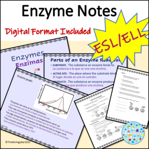 ESL Biology Enzyme Notes PPT and Student Notes with Digital option