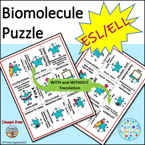 ESL Biology Biomolecule Puzzle Made By Teachers
