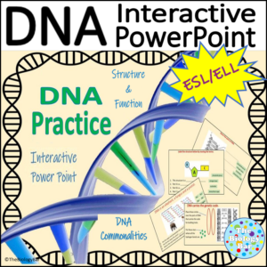 ESL Biology DNA Structure Interactive PPT for Spanish Speakers
