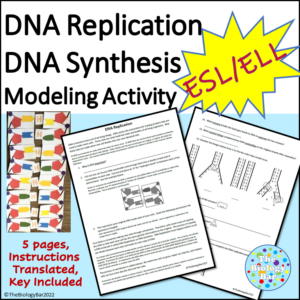 ESL Biology DNA Replication Modeling and Worksheet